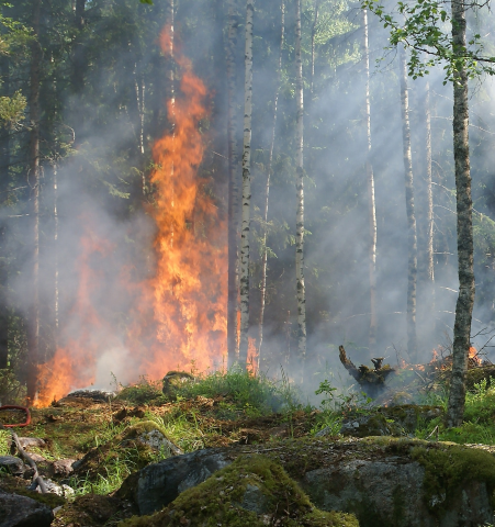 Dichiarazione "Grave pericolosità per gli incendi boschivi"
