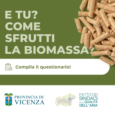 Questionario sulla biomassa a uso domestico