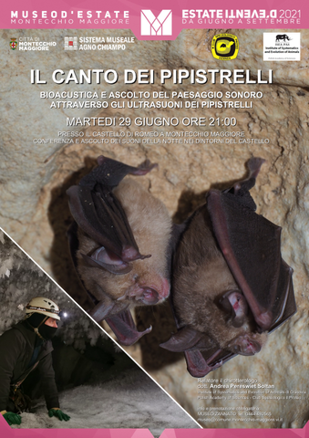Museo d'Estate: IL CANTO DEI PIPISTRELLI: bioacustica e ascolto del paesaggio sonoro attraverso gli ultrasuoni dei pipistrelli