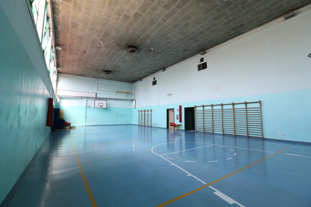zanella1